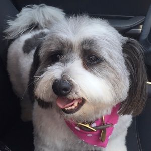 Meet your Posher, Ellie